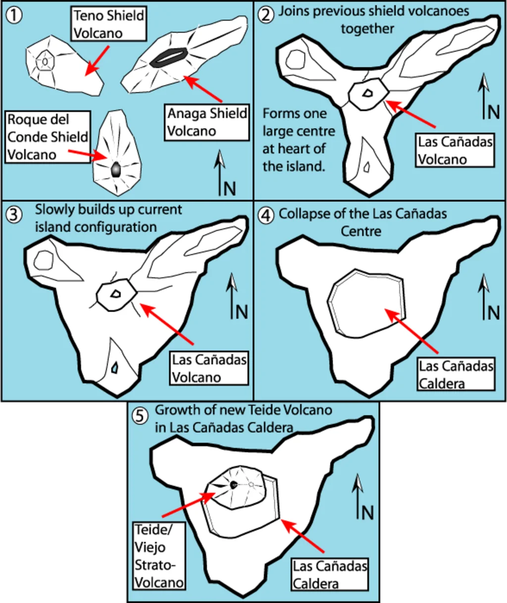 By Fossiliferous - Own work, CC BY 3.0, https://commons.wikimedia.org/w/index.php?curid=2888234