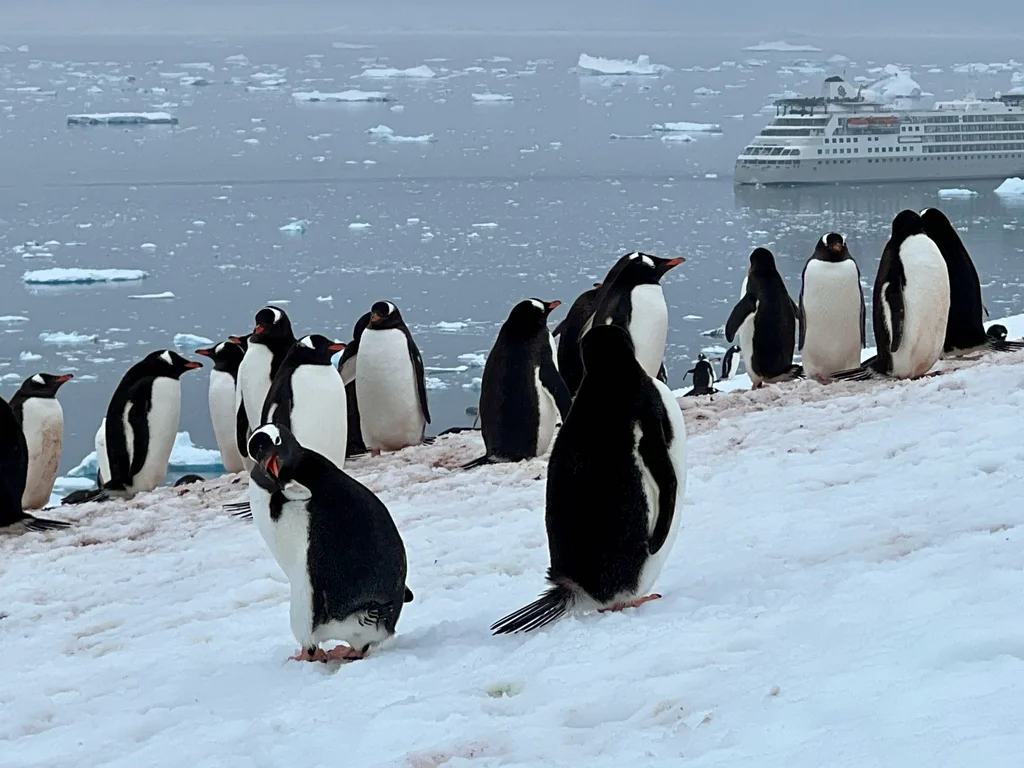 Antarctica