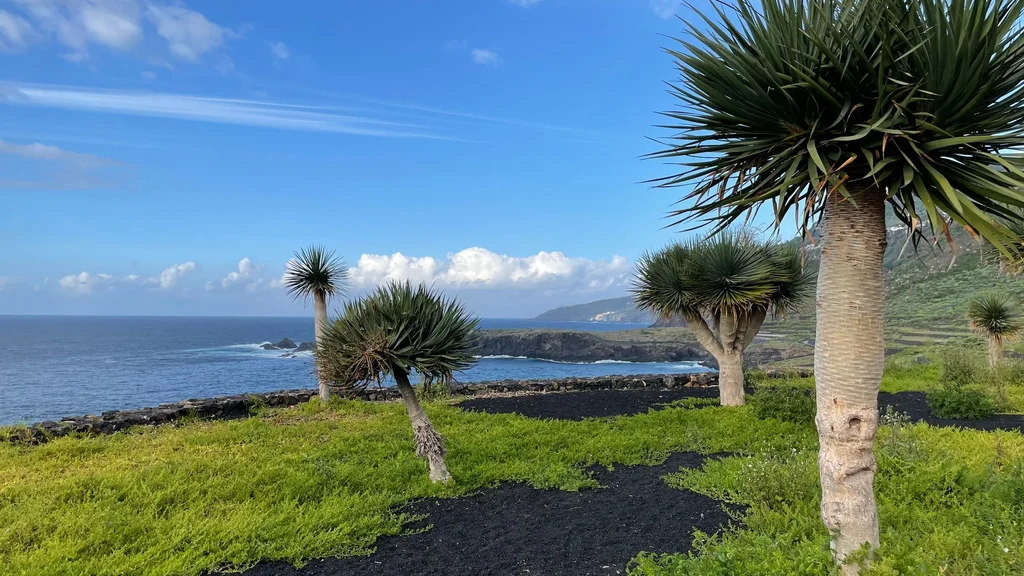 Discover Tenerife