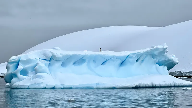 Antarctica