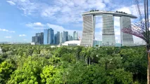 Singapore's Gardens By The Bay In One Day