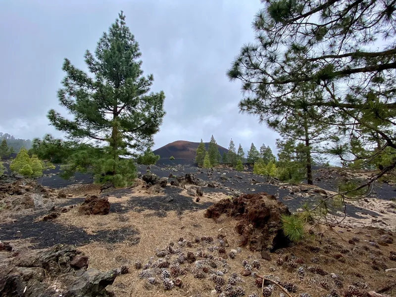 Hikes in Reserva Natural Especial del Chinyero, Tenerife