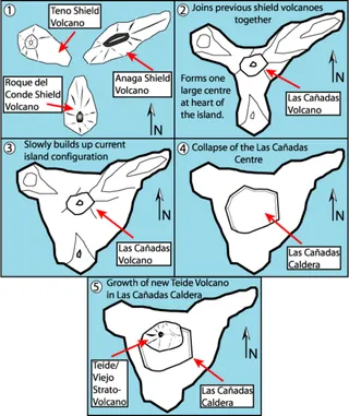 By Fossiliferous - Own work, CC BY 3.0, https://commons.wikimedia.org/w/index.php?curid=2888234