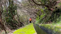 PR6 - Levada das 25 Fontes Hike in Madeira, Portugal