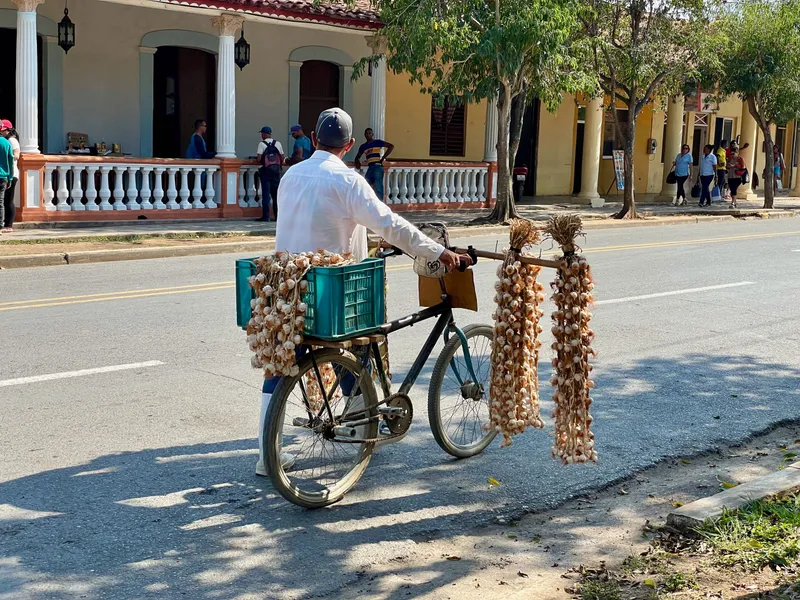 Viñales on Foot: A Tranquil Guide to Exploring the Cuban Countryside